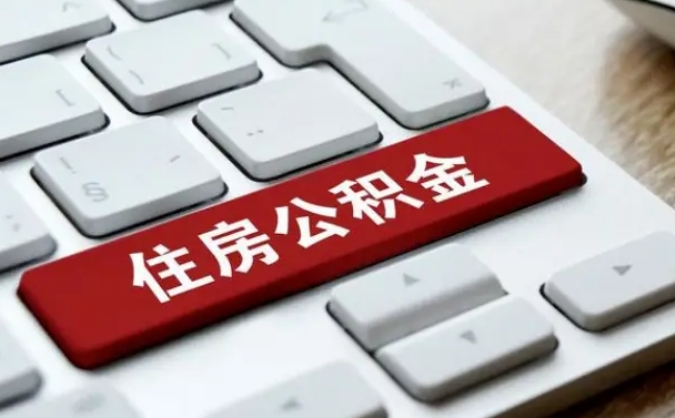 梅河口公积金公司交的部分怎么提取（公积金提取公司缴纳部分）
